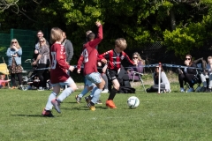 Lewes u8s Vs Woodingdean u8s at Nuffield Playing Fields, Woodingdean, Sussex; 24 Mar, 2019.