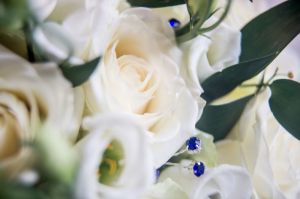 juliaandneil-1004.jpg