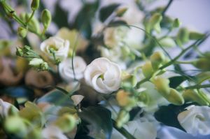 juliaandneil-1005.jpg