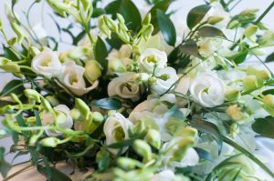 juliaandneil-1009.jpg
