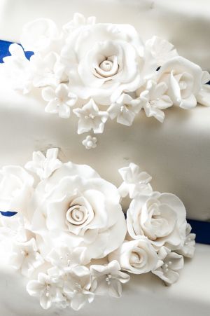 juliaandneil-1184.jpg