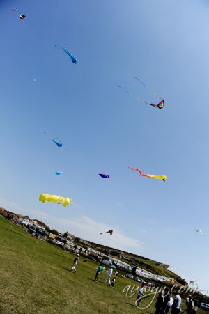 SFFG-kites11-1.jpg