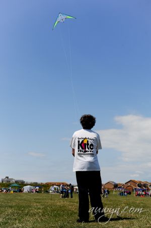 SFFG-kites11-2.jpg