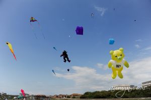 SFFG-kites11-3.jpg