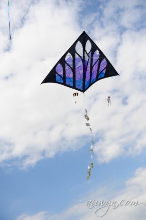 SFFG-kites11-40.jpg