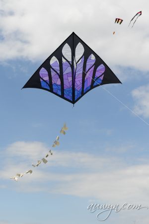 SFFG-kites11-42.jpg