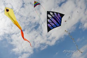 SFFG-kites11-43.jpg