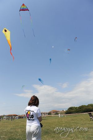 SFFG-kites11-5.jpg