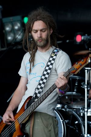 The Rhizomes