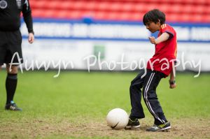 20130511_7837_elh.jpg